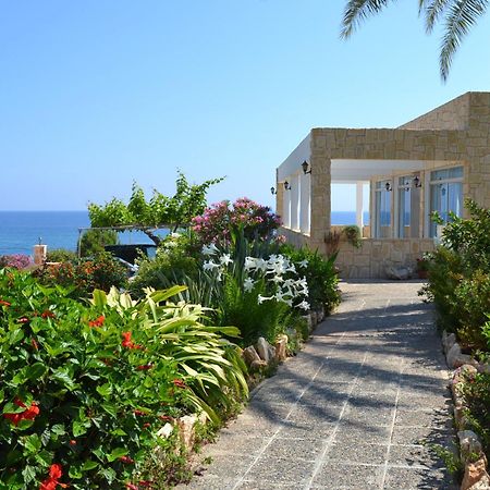 Aphrodite Beach Hotel Polis Exterior foto