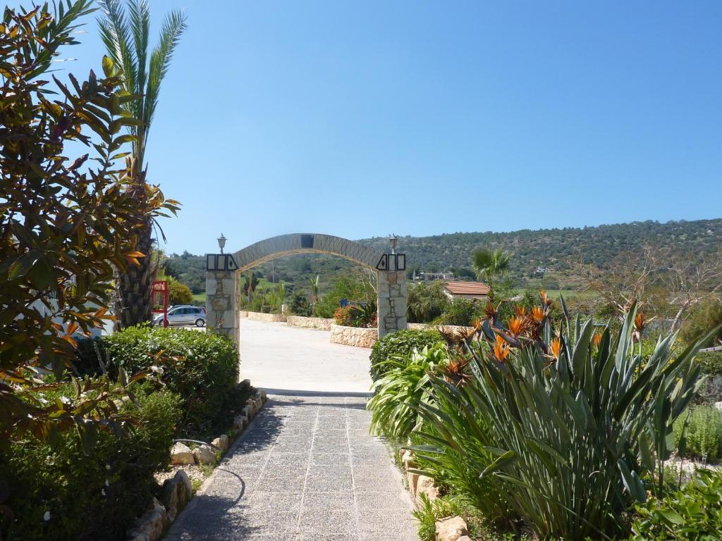 Aphrodite Beach Hotel Polis Exterior foto
